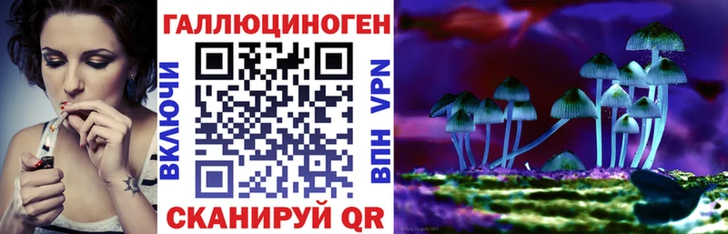 сколько стоит  Пудож  Галлюциногенные грибы GOLDEN TEACHER 